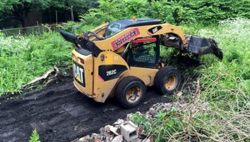 Land Clearing North Shore
