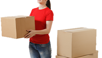 Removal services