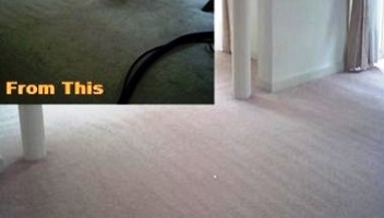 Carpet Cleaning