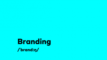 Web Design and Development