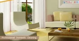 Domestic Cleaning Services