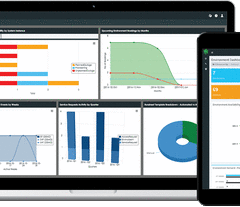IT & Test Environment Management