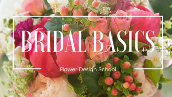 Bridal Basics