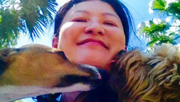 Dog Walking